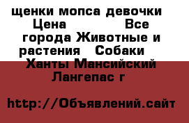 щенки мопса девочки › Цена ­ 25 000 - Все города Животные и растения » Собаки   . Ханты-Мансийский,Лангепас г.